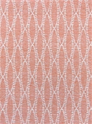 Camber Coral Outdoor Bella Dura Fabric